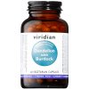 Viridian Dandelion with Burdock (Pampeliška a lopuch) 60 kapslí
