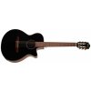 Ibanez AEG50NH Black