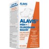 ALAVIS MSM + Glukosamin sulfát 60 tbl. (AKCIA)