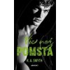 Víc než pomsta - R. A. Smyth