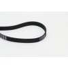 CONTINENTAL CTAM Ozubený klinový remeň 6PK1660