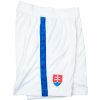Nike | SFZ M SHORT HA PR | biela| XS