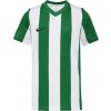 Detský dres Nike, NK DF STRIPPED JSY JR biela,zelená,čierna XL