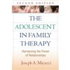 The Adolescent in Family Therapy, Second Edition - Micucci, Joseph A.