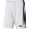 Adidas Squadra 21 M