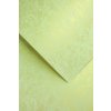 Galéria Papiera ozdobný papier Růže ivory 250g 20ks