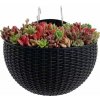 Strend Pro Kvetináč Strend pro, s dvoma háčikmi, farba čierna, 26x14x20 cm