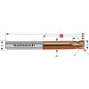 Karnasch 306438060010 | Tvrdokovová zápustková fréza so zaobleným ostrím 6/1,0x21-57x6 mm, Z=4