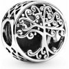 PANDORA korálka Rodinné korene 797590