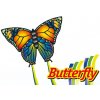 Günther BUTTERFLY 95 x 63 cm