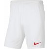 Nike M NK DRY PARK III SHORT NB K