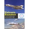 Vulcans Hammer: V-Force Aircraft & Weapons Projects Since 1945 (Gibson Chris)