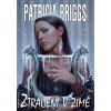 Ztraceni v zimě (14. díl) - Patricia Briggs