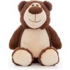 Plyšový Medvedík, hnedý