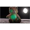 Teddies Rojko medveď dúhový plyš 40cm na batérie so svetlom so zvukom