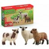 Schleich Farm World Přátelé ovcí