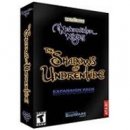 Neverwinter Nights: Shadows of Undrentide