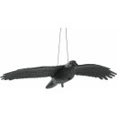 Lapač a odpudzovač ISO 6556 Odpudzovač holubov a vtákov Havran 40 cm