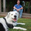 PetSafe Obojok a prijímač pre bezdrôtový ohradník