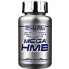 Scitec Nutrition Mega HMB 90 kapsúl