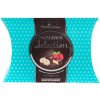 Chocco Garden čokoládové pralinky s banánovo-malinovou náplňou 130g