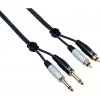 Bespeco EAY2JR500
