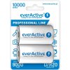 everActive D 10000 mAh 2 ks EVHRL20-10000