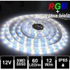 LEDprodukt LED pás 12V DC, 12W/m, RGB-W, SMD 5050, IP65, bal. 5m