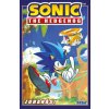 Sonic the Hedgehog 1. - Zuhanás