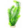 Europet Bernina Hornwort zelená 32 cm