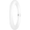 OSRAM HOMELIGHTING LED trubica En.trieda 2021: F (A - G) G10q kruhová žiarivka 11 W = 22 W teplá biela (Ø x d) 312 mm x 212 mm 1 ks; 4099854042607