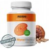 REISHI extrakt MycoMedica 90 kapsúl