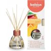 Difuzér Bolsius True Scent Mango, vôňa mango, 45 ml