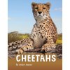 Cheetahs (Jaycox,Jaclyn)(Brožovaná)