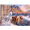 Castorland PUZZLE 500ks Winter Melt 9+