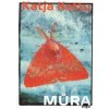 Můra