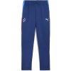 Pánske športové tepláky Puma, NEYMAR JR PLAYMAKER TRAINING PANT modrá,biela,mix 152