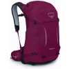 Osprey Hikelite 28 l Chameleon/Black M/L 10054304OSP01B99 (10054304OSP01B99)