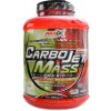 Amix CarboJet mass professional 3000 g vanilka