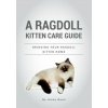A Ragdoll Kitten Care Guide: Bringing Your Ragdoll Kitten Home