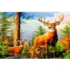 Norimpex Diamantové maľovanie Jeleň v horách 30 x 40 cm