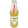 Invertofix roztok 250 ml