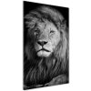 Vertikálny foto obraz sklenený Portrét leva 50x100 cm