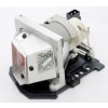 Lampa pre projektor Optoma X307UST (SP.8UP01GC01) varianta: Originálna lampa bez modulu