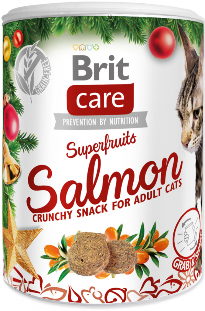 Brit Care Cat Christmas Superfruits 100 g