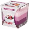 Bispol Aura Frozen Berries 170 g