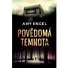 Amy Engel: Povědomá temnota