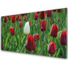Skleneny obraz Tulipány kvety príroda 100x50 cm