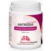 Antrodia Camphorata Extrakt 45% psch a 7% triterpenoidů