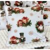 INTERMEDIC SK Obliečka na vankúš Čarovný luskáčik 40x40 cm – 100 % bavlna